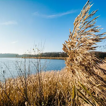 Feriendomizil Im Luftkurort - Ferienhaus-sauna-see -entertainmentpaket Krakow am See